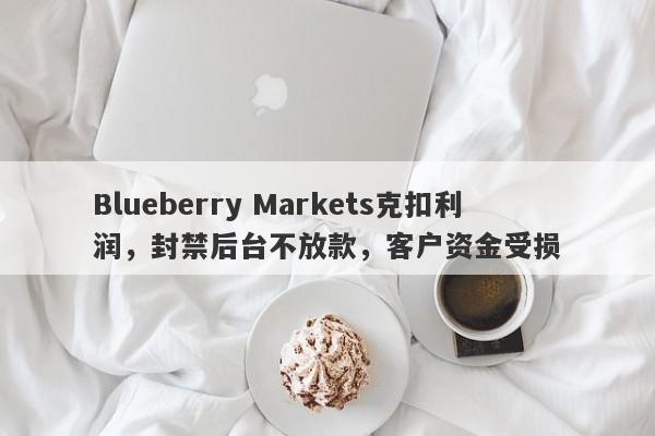 Blueberry Markets克扣利润，封禁后台不放款，客户资金受损-第1张图片-要懂汇