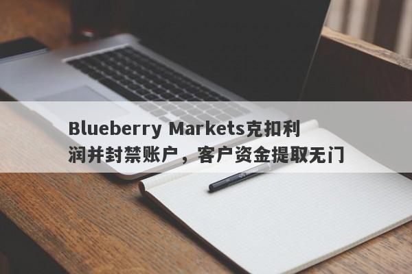 Blueberry Markets克扣利润并封禁账户，客户资金提取无门-第1张图片-要懂汇