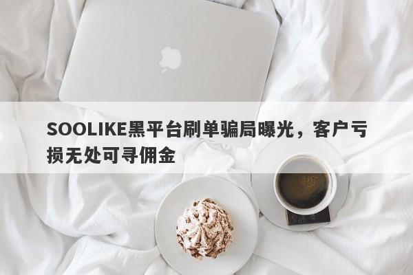 SOOLIKE黑平台刷单骗局曝光，客户亏损无处可寻佣金-第1张图片-要懂汇