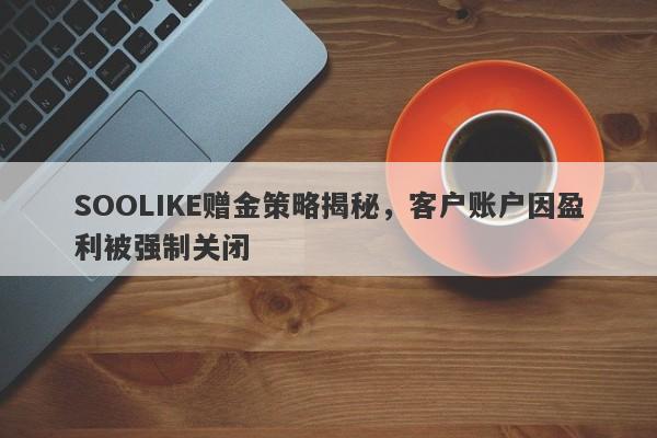 SOOLIKE赠金策略揭秘，客户账户因盈利被强制关闭-第1张图片-要懂汇