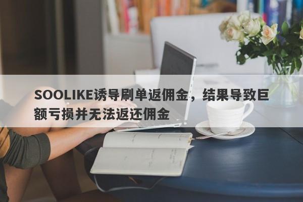 SOOLIKE诱导刷单返佣金，结果导致巨额亏损并无法返还佣金-第1张图片-要懂汇