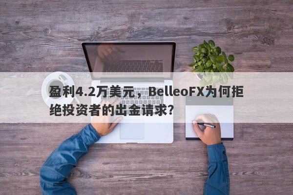 盈利4.2万美元，BelleoFX为何拒绝投资者的出金请求？-第1张图片-要懂汇