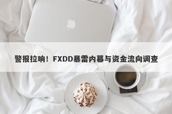 警报拉响！FXDD暴雷内幕与资金流向调查-第1张图片-要懂汇