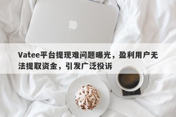 Vatee平台提现难问题曝光，盈利用户无法提取资金，引发广泛投诉-第1张图片-要懂汇