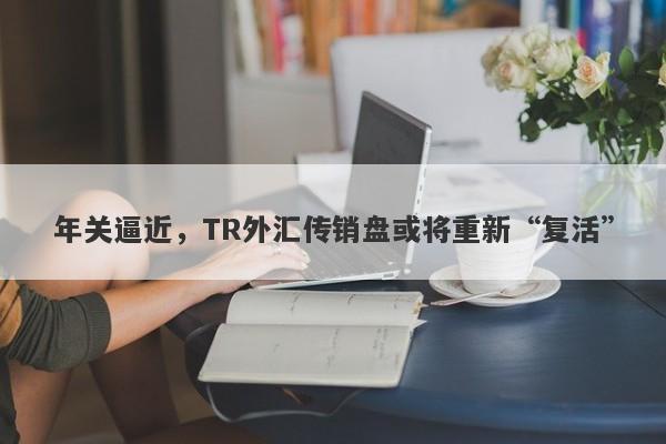 年关逼近，TR外汇传销盘或将重新“复活”-第1张图片-要懂汇