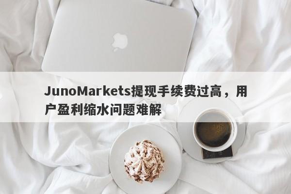 JunoMarkets提现手续费过高，用户盈利缩水问题难解-第1张图片-要懂汇