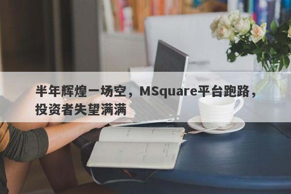 半年辉煌一场空，MSquare平台跑路，投资者失望满满-第1张图片-要懂汇