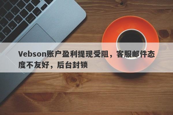 Vebson账户盈利提现受阻，客服邮件态度不友好，后台封锁-第1张图片-要懂汇