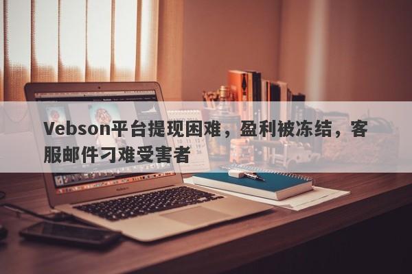 Vebson平台提现困难，盈利被冻结，客服邮件刁难受害者-第1张图片-要懂汇