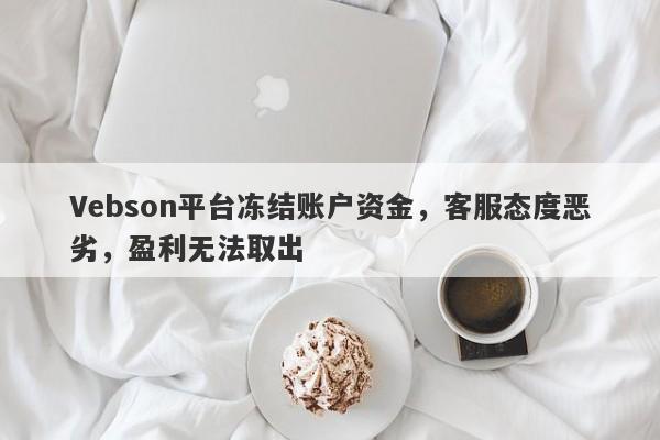 Vebson平台冻结账户资金，客服态度恶劣，盈利无法取出-第1张图片-要懂汇