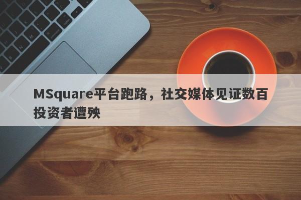 MSquare平台跑路，社交媒体见证数百投资者遭殃-第1张图片-要懂汇