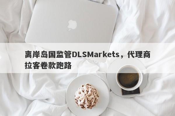 离岸岛国监管DLSMarkets，代理商拉客卷款跑路-第1张图片-要懂汇