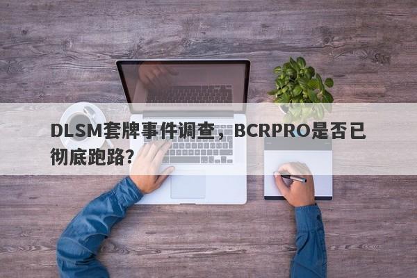 DLSM套牌事件调查，BCRPRO是否已彻底跑路？-第1张图片-要懂汇