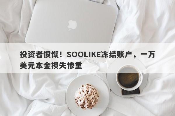 投资者愤慨！SOOLIKE冻结账户，一万美元本金损失惨重-第1张图片-要懂汇