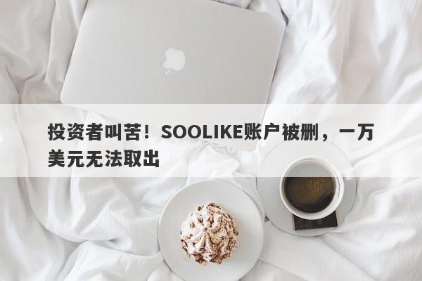 投资者叫苦！SOOLIKE账户被删，一万美元无法取出-第1张图片-要懂汇