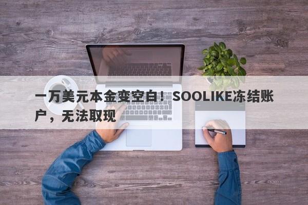 一万美元本金变空白！SOOLIKE冻结账户，无法取现-第1张图片-要懂汇