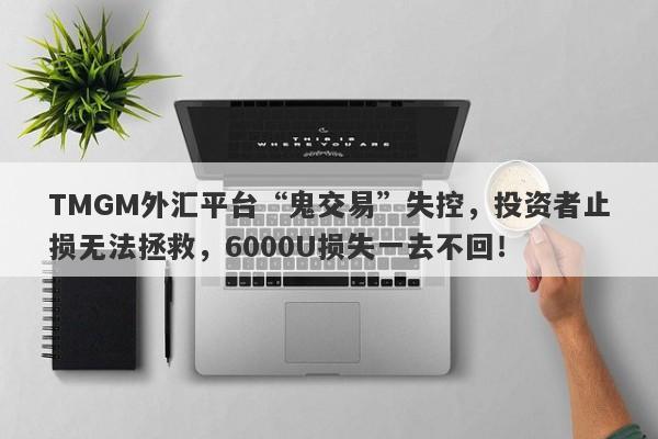 TMGM外汇平台“鬼交易”失控，投资者止损无法拯救，6000U损失一去不回！-第1张图片-要懂汇