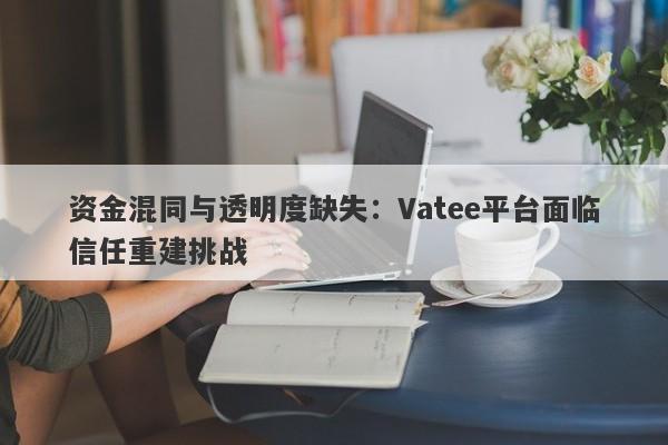 资金混同与透明度缺失：Vatee平台面临信任重建挑战-第1张图片-要懂汇