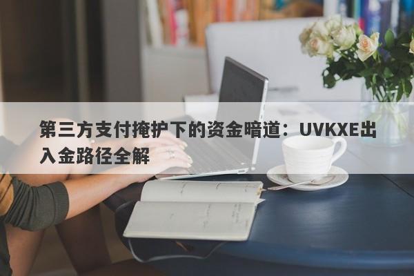 第三方支付掩护下的资金暗道：UVKXE出入金路径全解-第1张图片-要懂汇